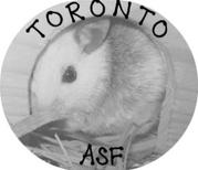 live asf/natal rat